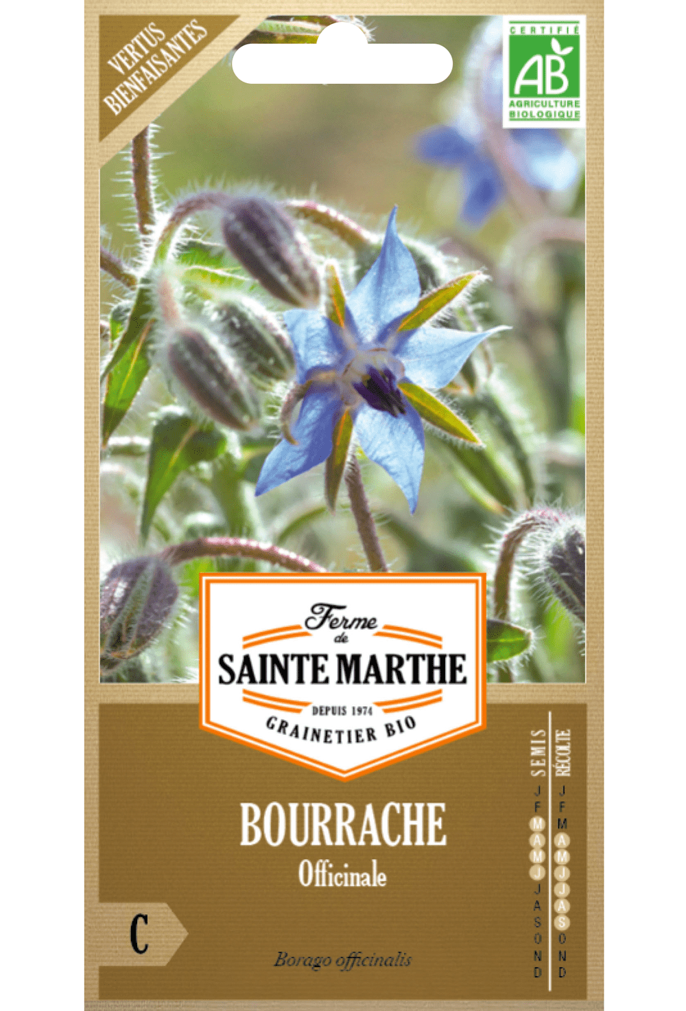 Graines BIO de concombre aux herbes