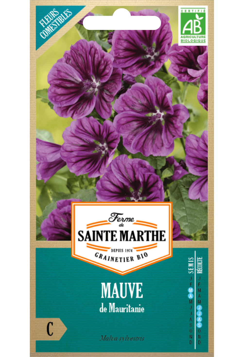 Grande mauve (Malva sylvestris) GRAINES BIO