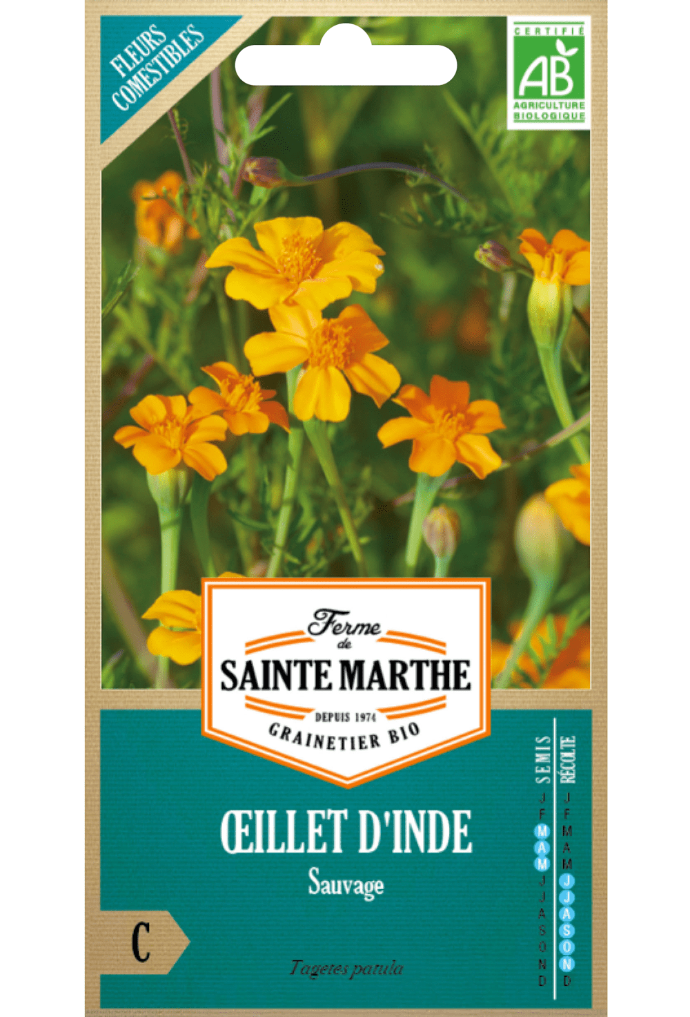 Wilde Ringelblume (Tagetes patula) BIO-SAMEN