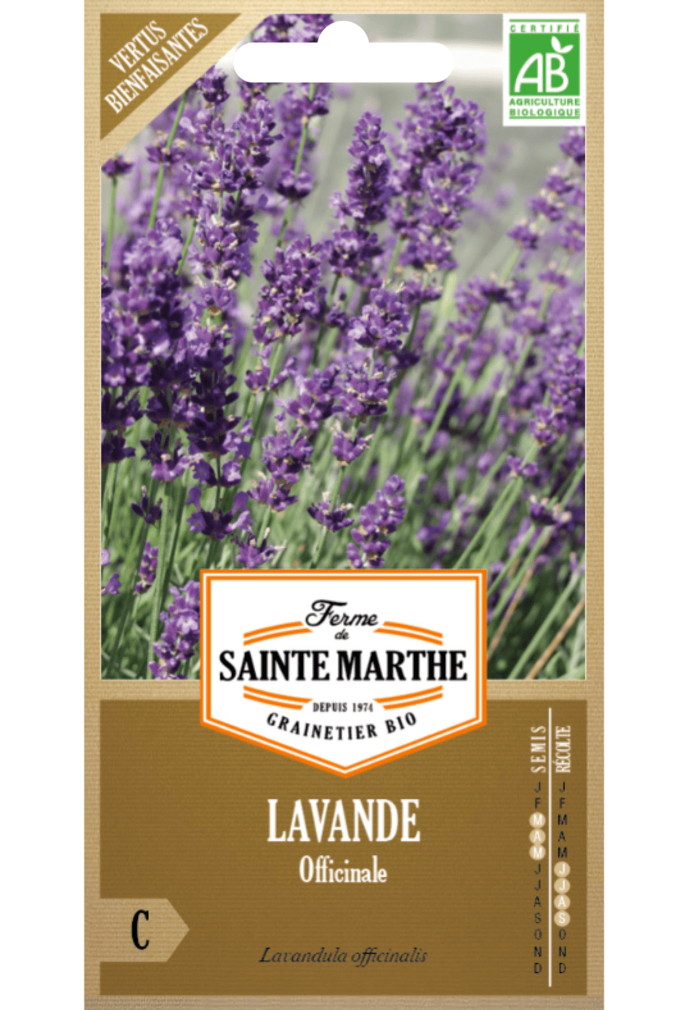 Graines de Lavendula officinalis BIO