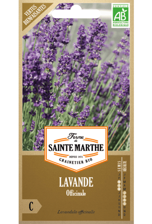 Lavendula officinalis BIO-Samen