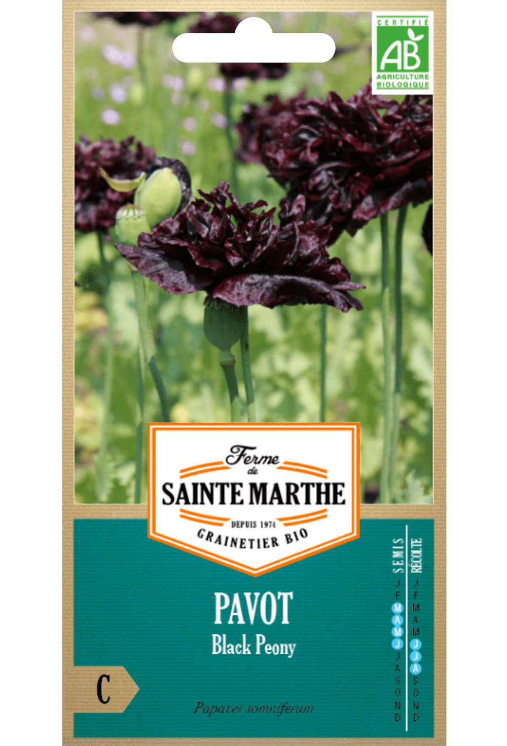 Papaver Black Peony BIO ZADEN