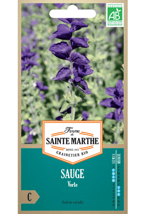 GRAINES DE Sauge Officinalis BIO