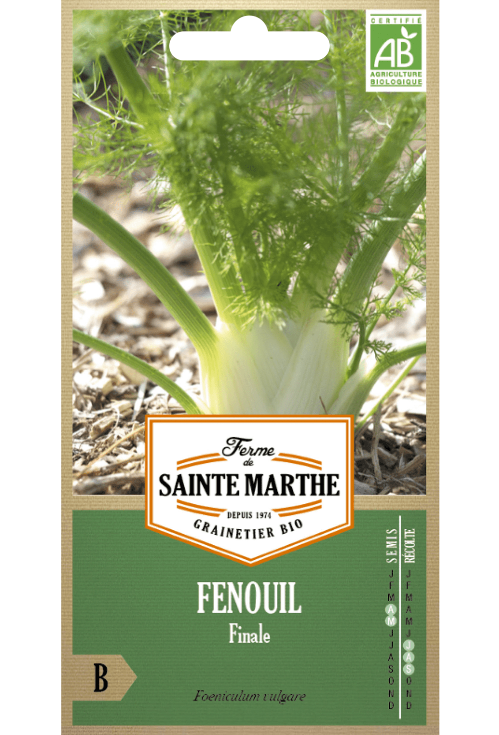 Fenchel Final BIO-Samen