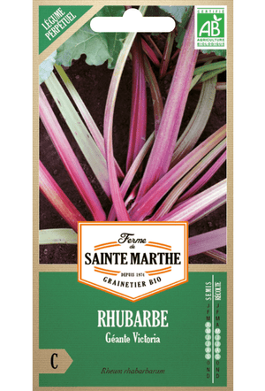 Graines de Rhubarbe 'Victoria' BIO