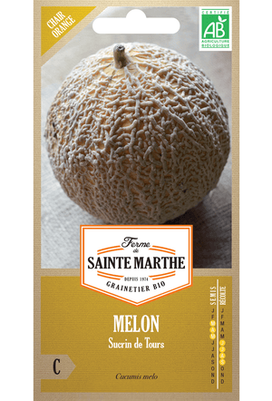 Graines Bio Melon 'Sucrin de Tours'