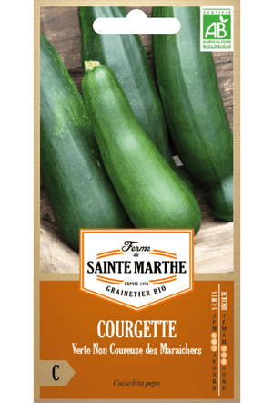 Graines de Courgette 'Verte des Maraîchers' BIO