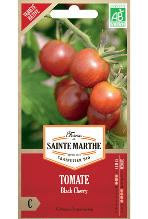 Graines de Tomate cerise Black Cherry BIO (variété précoce)