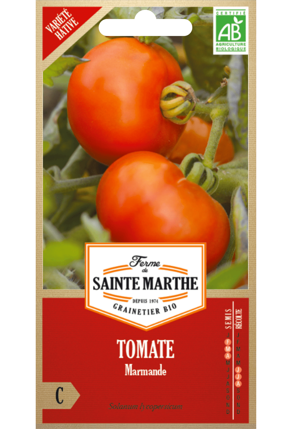 Tomaat Marmande BIO zaden (vroeg ras)