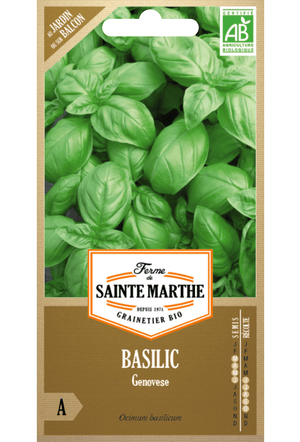 Graines de Basilic Génois BIO