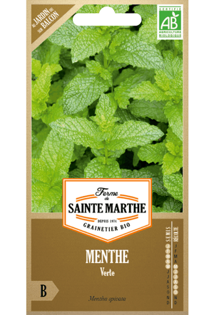 Graines de Menthe poivrée BIO