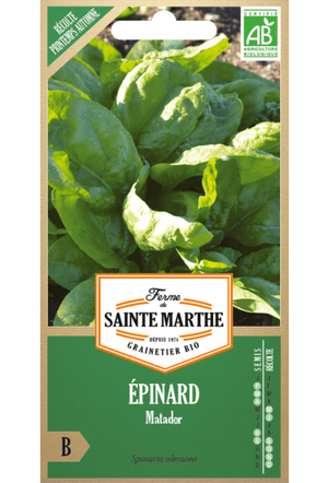 Graines d'épinards 'Matador' BIO