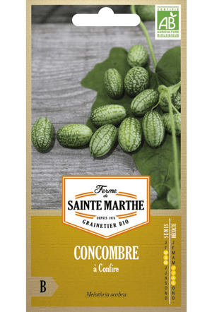 Concombre mexicain - Cucamelon - Melon de souris (Melothria scabra) Graines Bio