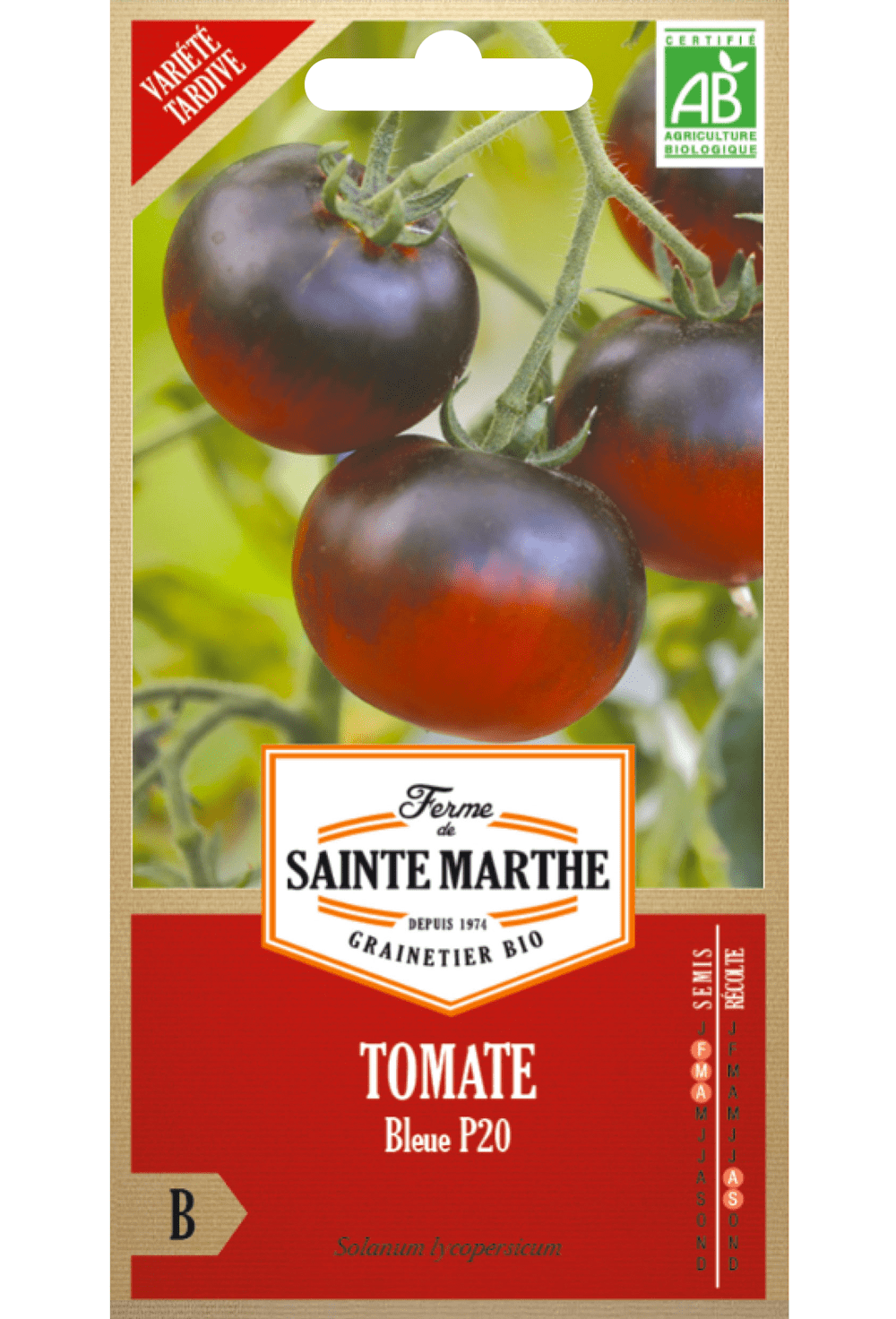 Tomate 'Bleue P20' BIO-Samen (frühe Sorte)