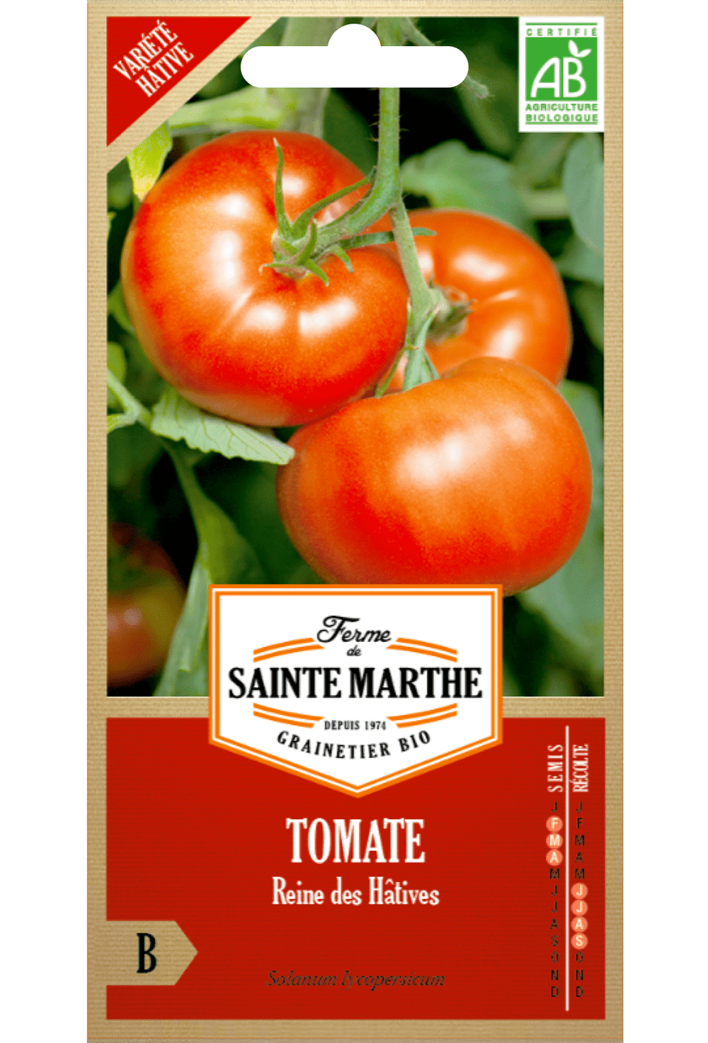 Graines de Tomate Reine des Hâtives BIO (variété précoce)