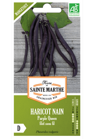 Haricot nain Purple Queen 80 g Graines BIO