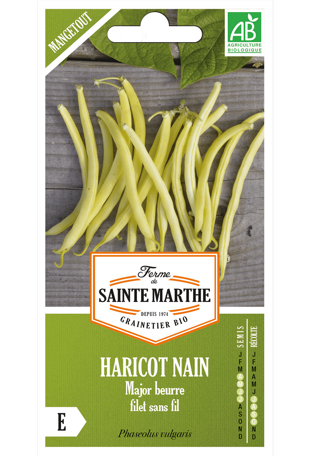 Haricot nain Major jaune 80 g Graines BIO