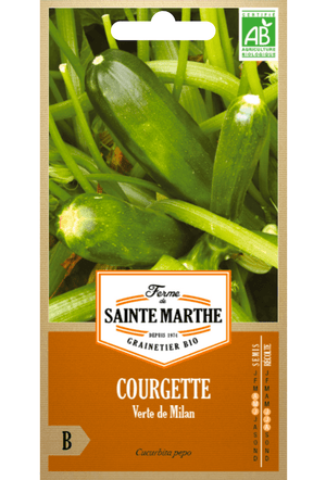 Graines de Courgette 'Verte de Milan' BIO