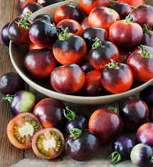 Tomate cerise ''Indigo Red'' (noir-rouge) en pot 1 plant 