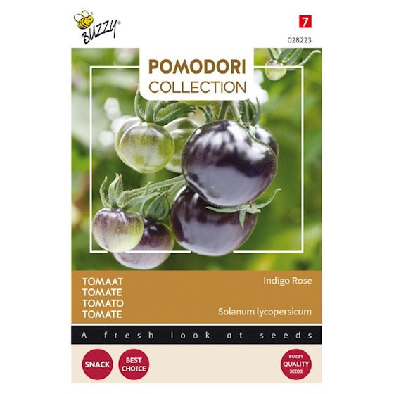 Buzzy Pomodori Tomate Indigo rose (noir) - contenu : 8 graines