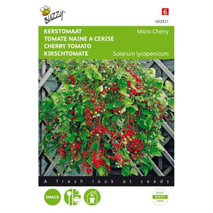 Buzzy Cherry Tomato Micro Cherry - Inhalt: 10 Samen