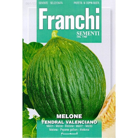 Melon. Melone Tendral Valencien 91/23