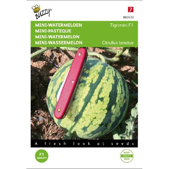 Buzzy Mini Wassermelone Tigrimini F1 - Inhalt: ca. 6 Samen