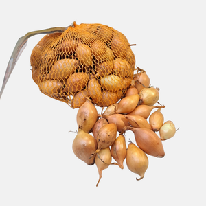 Plantui 'Sturon' BIO (rond)