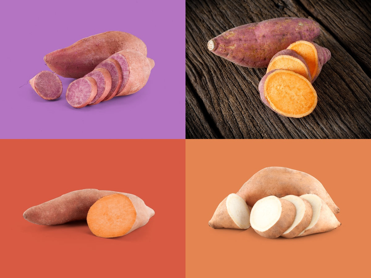 Plants de patate douce - Mélange de 4 variétés et couleurs (25 plants)