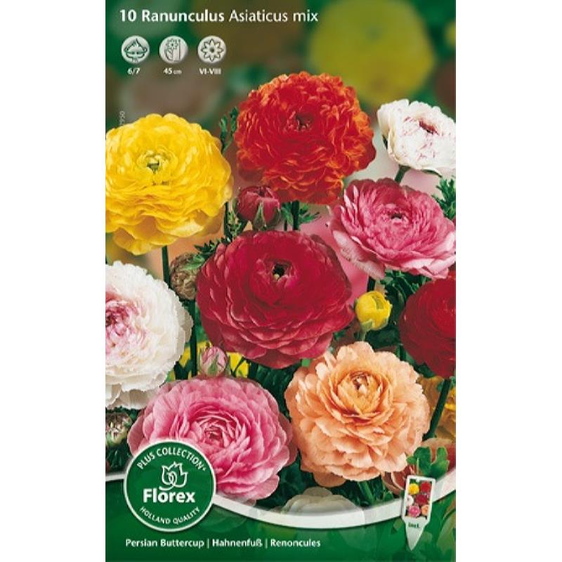 Ranunculus Gemengd 6/7 15st.