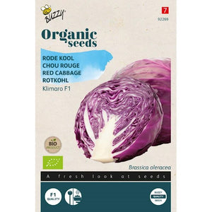 Buzzy Bio-Rotkohl Klimaro F1 (BIO) – Inhalt: 25 Samen