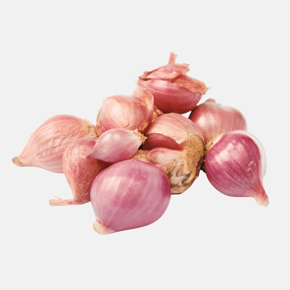 Plant shallot 'Red Sun' BIO - 250 grams