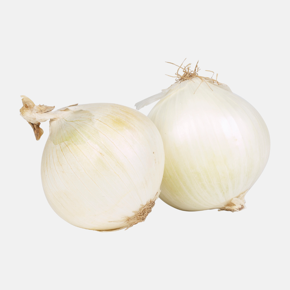 Planter l'oignon 'Snowball' (choisir le poids) 
