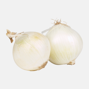 Planter l'oignon 'Snowball' (choisir le poids) 