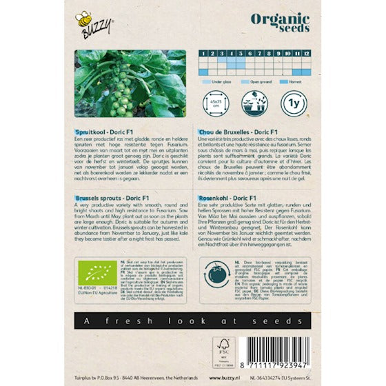 Buzzy Organic Spruitkool 'Doric' F1 (BIO) - inh.: 25 zaden