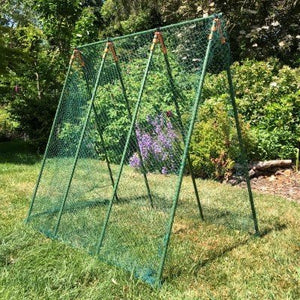 Stevig steunframe Pea Master' voor erwten en klimplanten (1,2m x 1,2m x 0,75m breed)