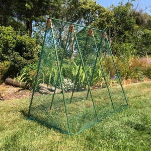 Stevig steunframe Pea Master' voor erwten en klimplanten (1,2m x 1,2m x 0,75m breed)