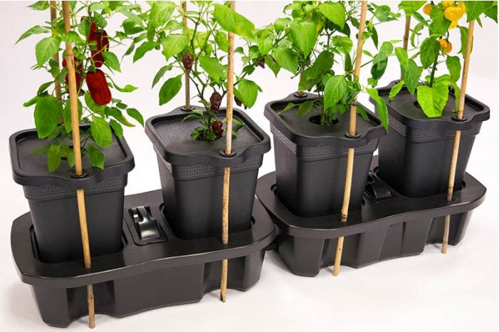 Quadgrow Mulchabdeckung und Stangenhalter-Set 