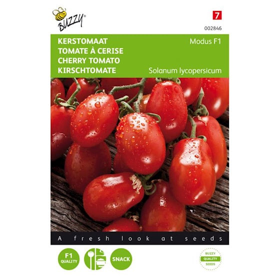 Buzzy Tomaten Modus F1 - ca. 10 zaden