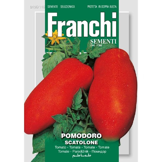 Tomaat. Pomodoro Scatolone 106/116 Franchi