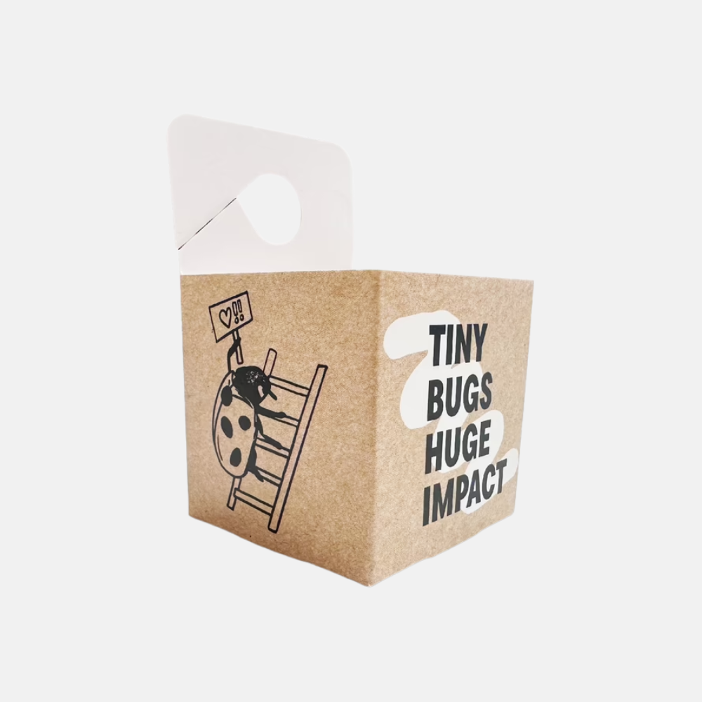 Uitzetdoosjes voor nuttige insecten - 5 stuks