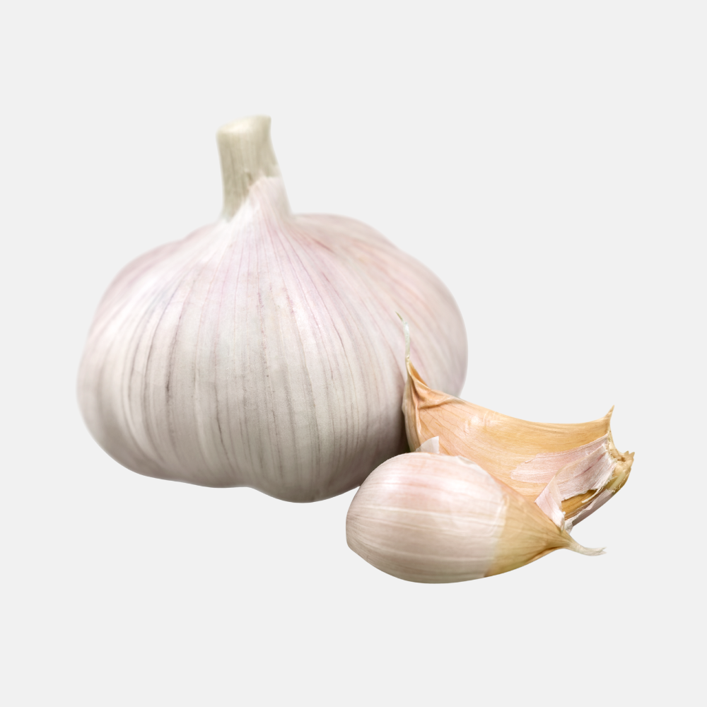 Plant garlic white - 'Blanke Reuzen' (choose number of bulbs)