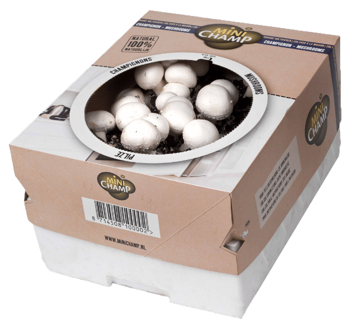 Kweekset Witte Champignons