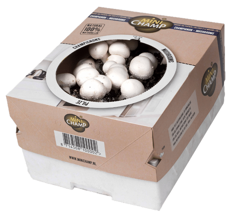 Kit de culture de champignons blancs