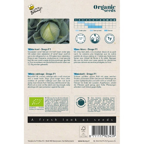 Buzzy Organic Witte Kool Drago F1 (BIO) - contenu : 25 graines