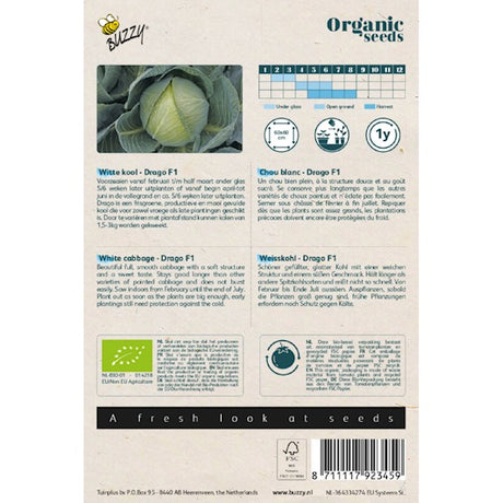 Buzzy Organic Witte Kool Drago F1 (BIO) - inh.: 25 zaden