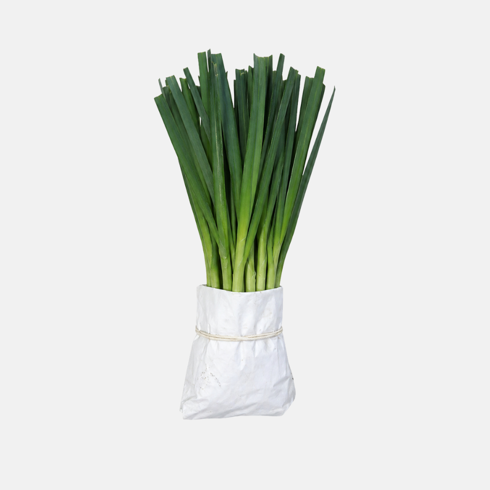 Summer leek plants 25 pieces BIO
